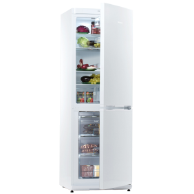 Холодильник Snaige RF 31SM-S0002F